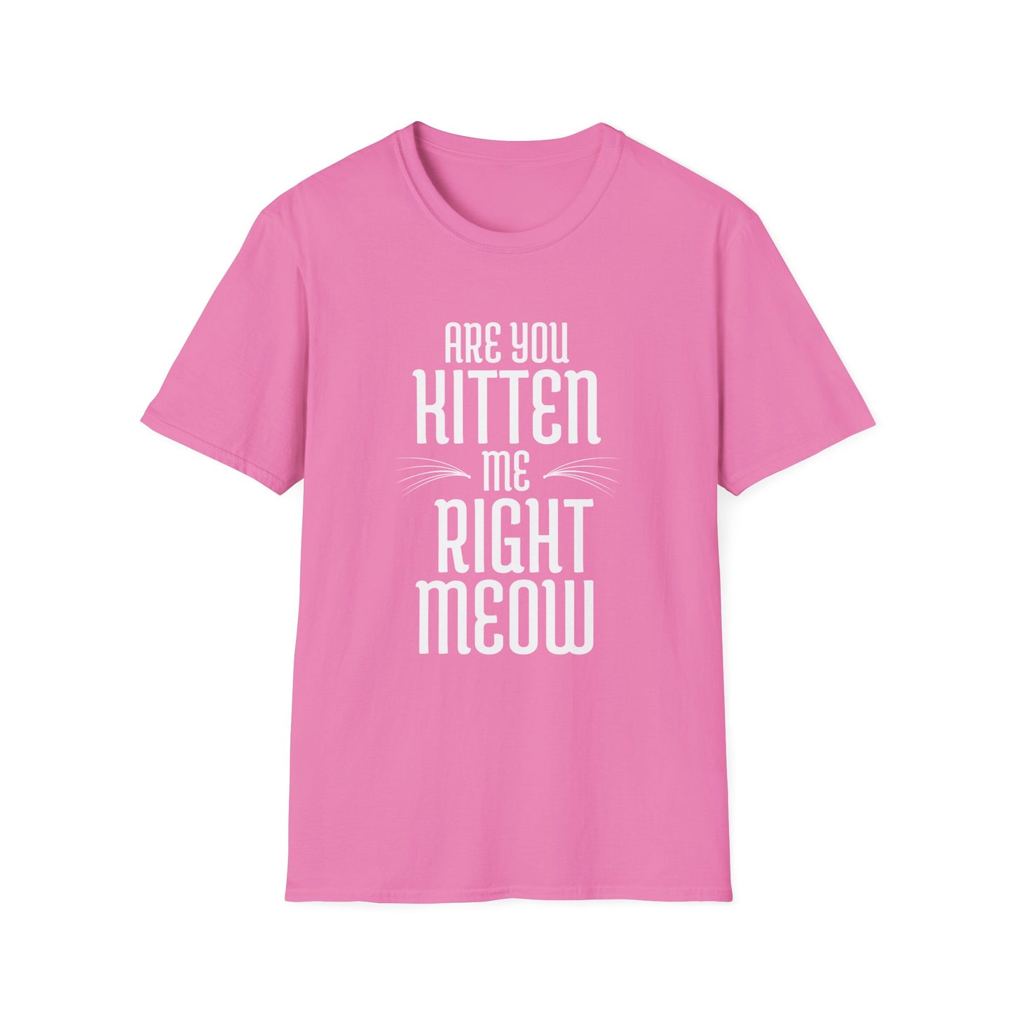 Are you kitten me T-Shirt